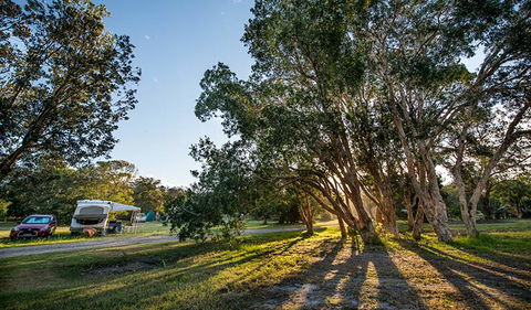 Delicate Campground - Surfers Paradise Gold Coast 0
