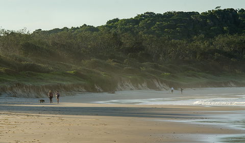Delicate Campground - Surfers Paradise Gold Coast 1