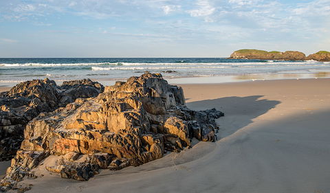 Delicate Campground - Surfers Paradise Gold Coast 2
