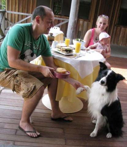 Riverwood Downs Mountain Valley Resort - Surfers Paradise Gold Coast 2