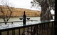The Manor - Blanchetown - thumb 0