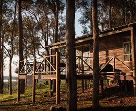 Balingup Heights Hilltop Forest Cottages - Surfers Paradise Gold Coast 2