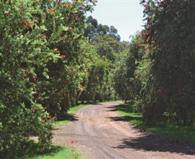Margaret River Holiday Cottages - Surfers Paradise Gold Coast 2