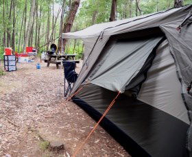 WA Wilderness Catered Camping At Big Brook Arboretum - Surfers Paradise Gold Coast 0