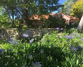 Lemon Peel House - Surfers Paradise Gold Coast 0