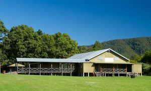 Riverwood Downs Mountain Valley Resort - Surfers Paradise Gold Coast 11