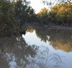 Four Mile Camping Reserve - Surfers Paradise Gold Coast