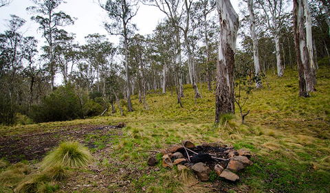 Gummi Falls Campground - Surfers Paradise Gold Coast 0