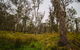 Gummi Falls Campground - thumb 1