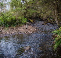 Horse Swamp campground - Surfers Paradise Gold Coast