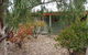 Lightning Ridge Outback Resort And Caravan Park - thumb 3