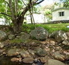 Mt Warning Rainforest Park - Surfers Paradise Gold Coast