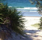 Myola Tourist Resort Caravan Park - Surfers Paradise Gold Coast
