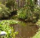 Tallowood Ridge B and B - Surfers Paradise Gold Coast