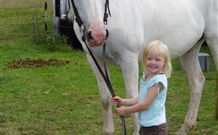 Three Waters High Country Holidays - Surfers Paradise Gold Coast 2