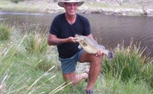 Three Waters High Country Holidays - Surfers Paradise Gold Coast 1