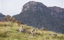 Emirates One&Only Wolgan Valley - Surfers Paradise Gold Coast 2