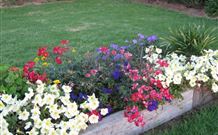 Narromine Tourist Park And Motel - Narromine - Surfers Paradise Gold Coast 1