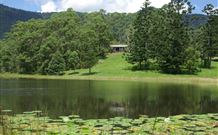 The Bushranger Hideaway - Surfers Paradise Gold Coast 4