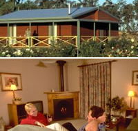 Twin Trees Country Cottages - Surfers Paradise Gold Coast