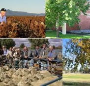 Southern Cross Motor Inn - Surfers Paradise Gold Coast