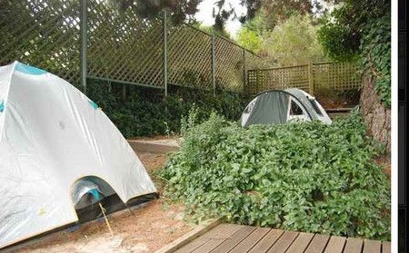 The Flying Fox Backpackers - Surfers Paradise Gold Coast 2