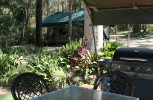 Tamborine Mountain Caravan & Camping - Surfers Paradise Gold Coast 2