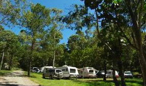 Tamborine Mountain Caravan & Camping - Surfers Paradise Gold Coast 3