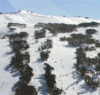 Thredbo Alpine Hotel