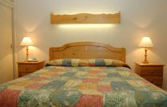 Best Western Fawkner Airport Motor Inn & Serviced Apartments - Surfers Paradise Gold Coast 1