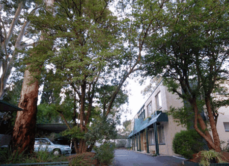 Adelaide Oakford Apartments - Surfers Paradise Gold Coast