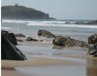 Oasis Holiday Resort - Surfers Paradise Gold Coast 2