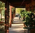 The Vineyard Motel - Cowra - Surfers Paradise Gold Coast