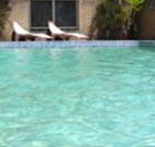 Toreador Motel - Coffs Harbour - Surfers Paradise Gold Coast