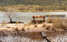 Glenhope Alpacas Bed And Breakfast - Surfers Paradise Gold Coast 1
