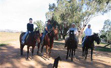 Linga Longa Farm Wingham - Surfers Paradise Gold Coast 1