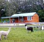 Moorallie Cottage Farm Stay - Surfers Paradise Gold Coast