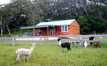 Moorallie Cottage Farm Stay - Surfers Paradise Gold Coast 0