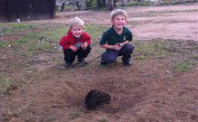 Venterfair Rural Retreat - Surfers Paradise Gold Coast 4