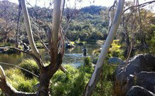 Venterfair Rural Retreat - Surfers Paradise Gold Coast 3