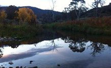 Venterfair Rural Retreat - Surfers Paradise Gold Coast 6