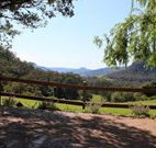 Cedar Grove - - Surfers Paradise Gold Coast