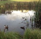 Harewood House Bed and Breakfast - Surfers Paradise Gold Coast