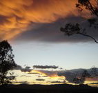 Silkwood B and B - Surfers Paradise Gold Coast