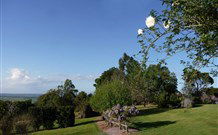 Yellow Dog Cottage - - Surfers Paradise Gold Coast 3