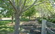 Yellow Dog Cottage - - thumb 6