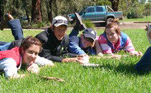 Murwillumbah  YHA Mount Warning - Surfers Paradise Gold Coast 2