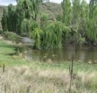 Cedar Grove - Surfers Paradise Gold Coast