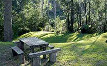 Coffs Coast Adventure Centre - Surfers Paradise Gold Coast 0