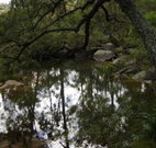 In Essentia Healing Hut of Kangaroo Valley - Surfers Paradise Gold Coast